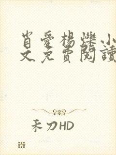 肖爱杨烁小说全文免费阅读最新章节封面