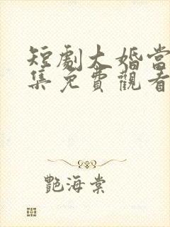 短剧大婚当日全集免费观看封面