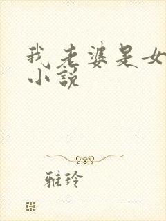 我老婆是女学霸小说