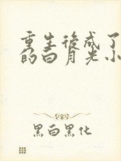 重生后成了皇帝的白月光小说txt