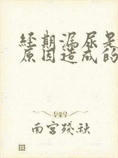 经期漏尿是什么原因造成的