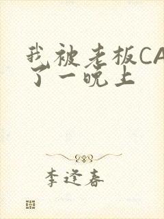 我被老板CAO了一晚上