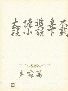 大佬追妻不择手段小说下载