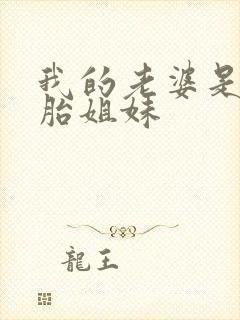 我的老婆是双胞胎姐妹