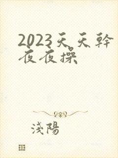 2023天天干夜夜操