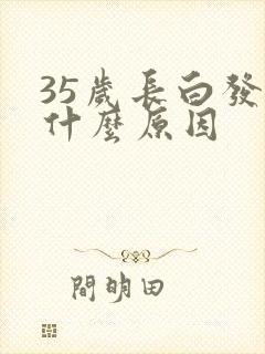 35岁长白发是什么原因