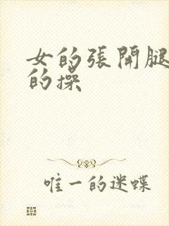 女的张开腿给男的操