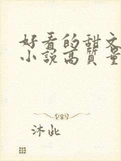 好看的甜文言情小说高质量文笔好封面