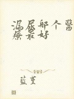 漏尿哪个医院治疗最好