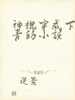 神棍穿成下乡知青的小说封面