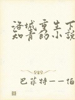 洛城重生下乡当知青的小说叫什么