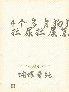 4个多月狗狗乱拉尿拉屎怎么办封面
