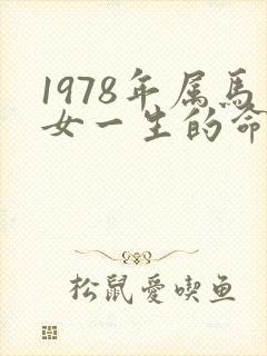 1978年属马女一生的命运怎样