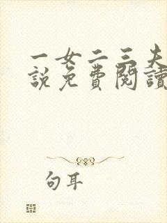 一女二三夫的小说免费阅读全文完结了吗封面