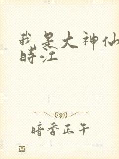 我是大神仙小说时江封面