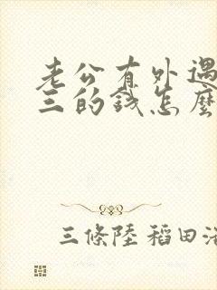 老公有外遇给小三的钱怎么要回来呢封面