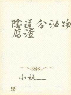 阴道分泌物 豆腐渣封面