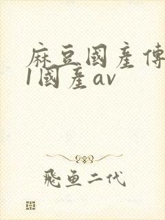 麻豆国产传媒61国产av