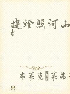 提灯照河山txt封面