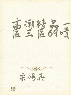 高潮精品一区二区三区69喷水封面