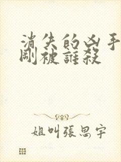 消失的凶手段志刚被谁杀