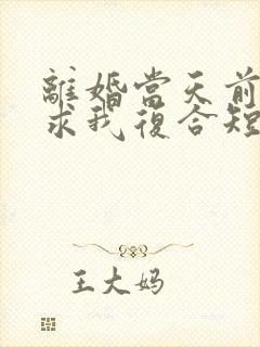 离婚当天前夫跪求我复合短剧女主角封面