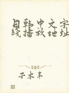 日韩中文字幕在线播放地址