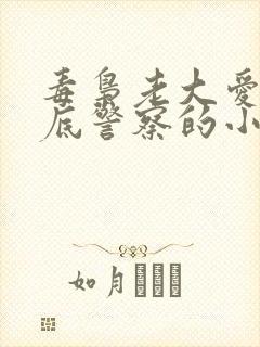 毒枭老大爱上卧底警察的小说男男封面