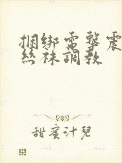 捆绑电击震动白丝袜调教封面