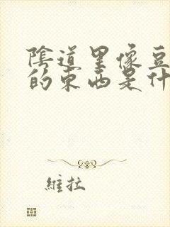 阴道里像豆腐渣的东西是什么情况