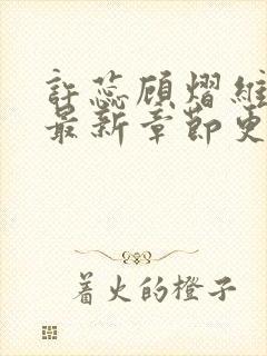 许蕊顾熠维小说最新章节更新时间