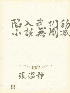 陷入我们的热恋小说无删减正版在线阅读