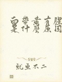 白带黄有腥臭味是什么原因造成的