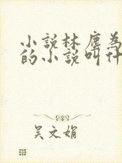 小说林尘为主角的小说叫什么名字