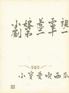 小娘惹电视连续剧第二十一集