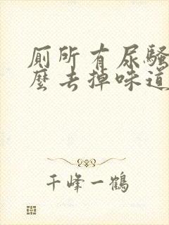 厕所有尿骚味怎么去掉味道