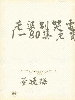 老婆别哭电视剧1一80集免费观看封面