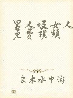 男人吸女人乳头免费视频