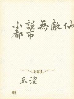 小说无敌仙王在都市