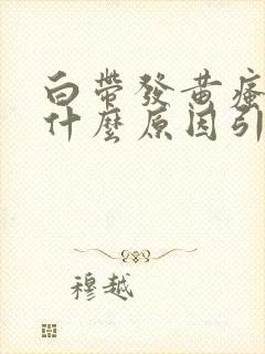 白带发黄瘙痒是什么原因引起的