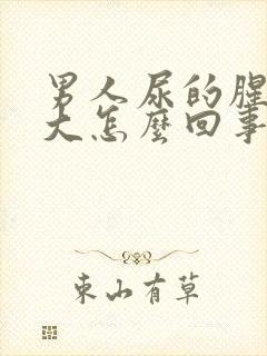 男人尿的腥味很大怎么回事封面