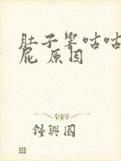 肚子响咕咕叫放屁 原因