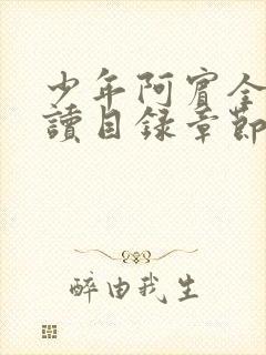 少年阿宾全文阅读目录章节第一章房东太太封面