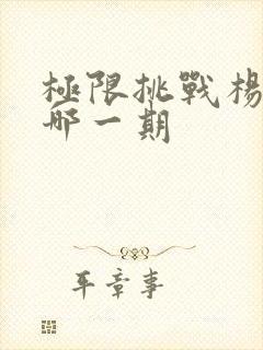 极限挑战杨超越哪一期