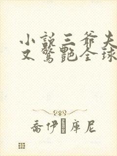 小说三爷夫人她又惊艳全球了