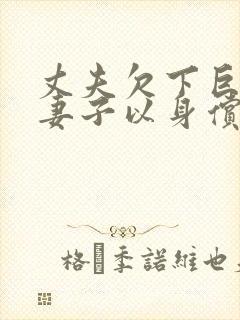 丈夫欠下巨债,妻子以身偿还电影封面