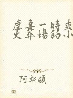 虐妻一时爽追妻火葬场的小说现言封面