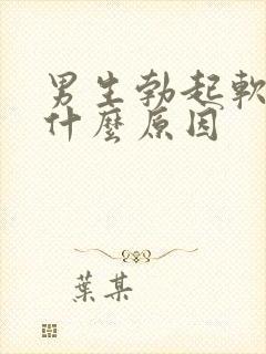 男生勃起软的快什么原因封面