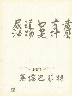 尿道口有黄色分泌物是什么