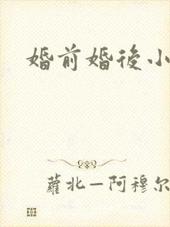 婚前婚后小说